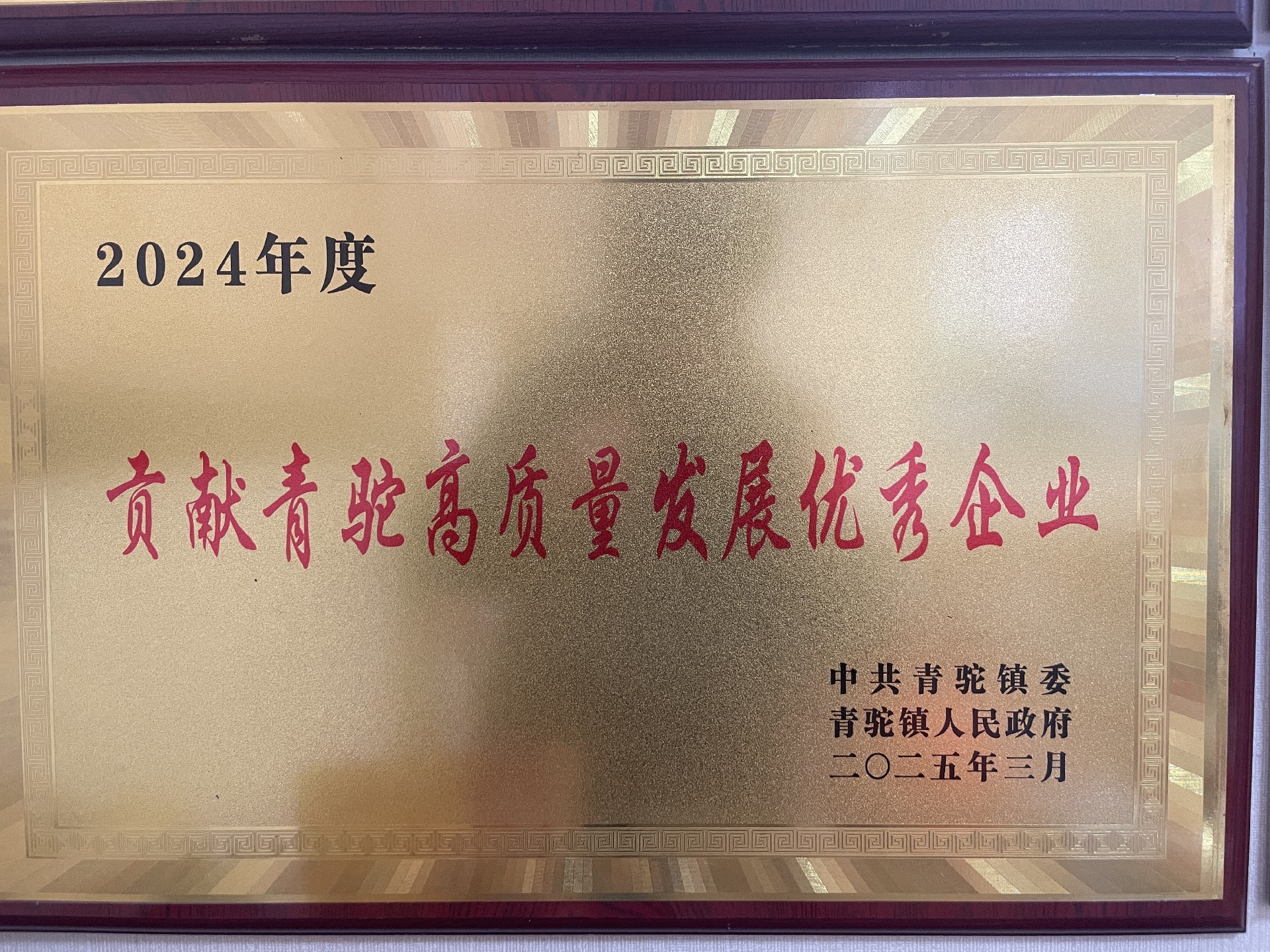 2024年貢獻青駝高質量發展優秀企業.jpg